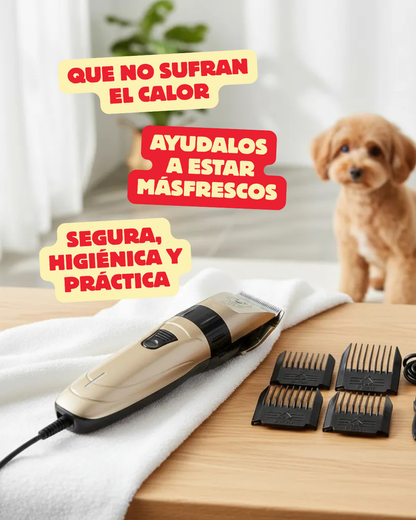 Kit de Mascota Completo – Oferta por tiempo limitado