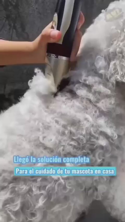 Kit de Mascota Completo – Oferta por tiempo limitado